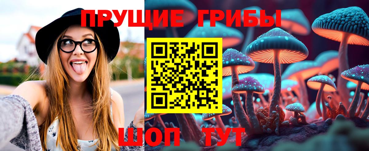 Галлюциногенные грибы GOLDEN TEACHER  Галлюциногенные грибы ЛСД  Урюпинск  Вход с VPN 